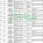 PPSC Jobs (22/2019): 34+ in Multiple Departments of Punjab Government
