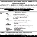 APSC Muzaffarabad AJK Jobs 2019 for Principal Post