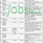 FG Employees Housing Foundation (FGEHF) Jobs 2019 for 31+ Sub-Engineers, Assistant Director, Deputy Directors & Directors (Download NTS Form)