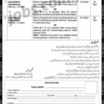NAB Pakistan Jobs 2019 for Jr Experts-II/III Posts