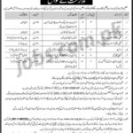 Islamabad DPW Office Jobs 2019 for 10+ Stenotypist, Accounts Asst, Family Welfare Assistants & Other – Download OTS Form
