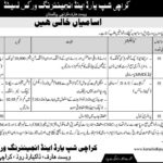Karachi Shipyard & Engineering Works Ltd (KSEW) Jobs 2019 for Office Assistant, MCO/Pilot & Support Staff