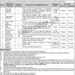 National Defence University (NDU) Islamabad Jobs 2019 For Stenotypists, DEO, Technical Assistants, DAE, Telecom, Editor & Other – OTS Form