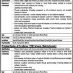 Punjab Daanish Schools Jobs 2019 For 5+ Principals (Male/Female)