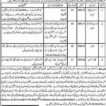 Forest & Wildlife Department Balochistan Jobs 2019 for 21+ Forest Rangers, Foreters, Asst Computer Operators & Field Assistant