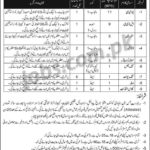Pakistan Army Jobs 2019 For 15+ LDC/UDC Clerks, Storeman And Other At Engineers Centers Risalpur Cantonment
