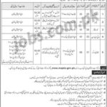 WAPDA Jobs July 2019 For Various Staff Posts Www.Wapda.Gov.Pk Form & Latest Vacancies (Multiple Cities)