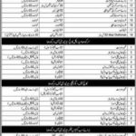 University of Sargodha Jobs 2019 for 80+ Posts in Multiple Categories