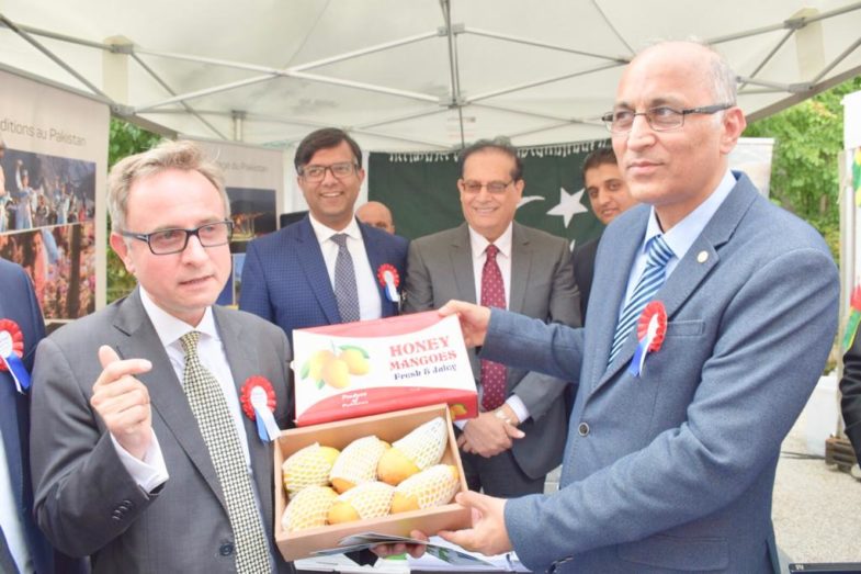 Pakistan, Pavilion, at, Diplomatic, Garden, Party, held, in, Paris, attracted, visitors