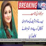 NAB, DECIDED, TO, SEAL, ALL, PROPERTY, OF, MARYAM, NWAZ, AND, ABBAS SHARIEF