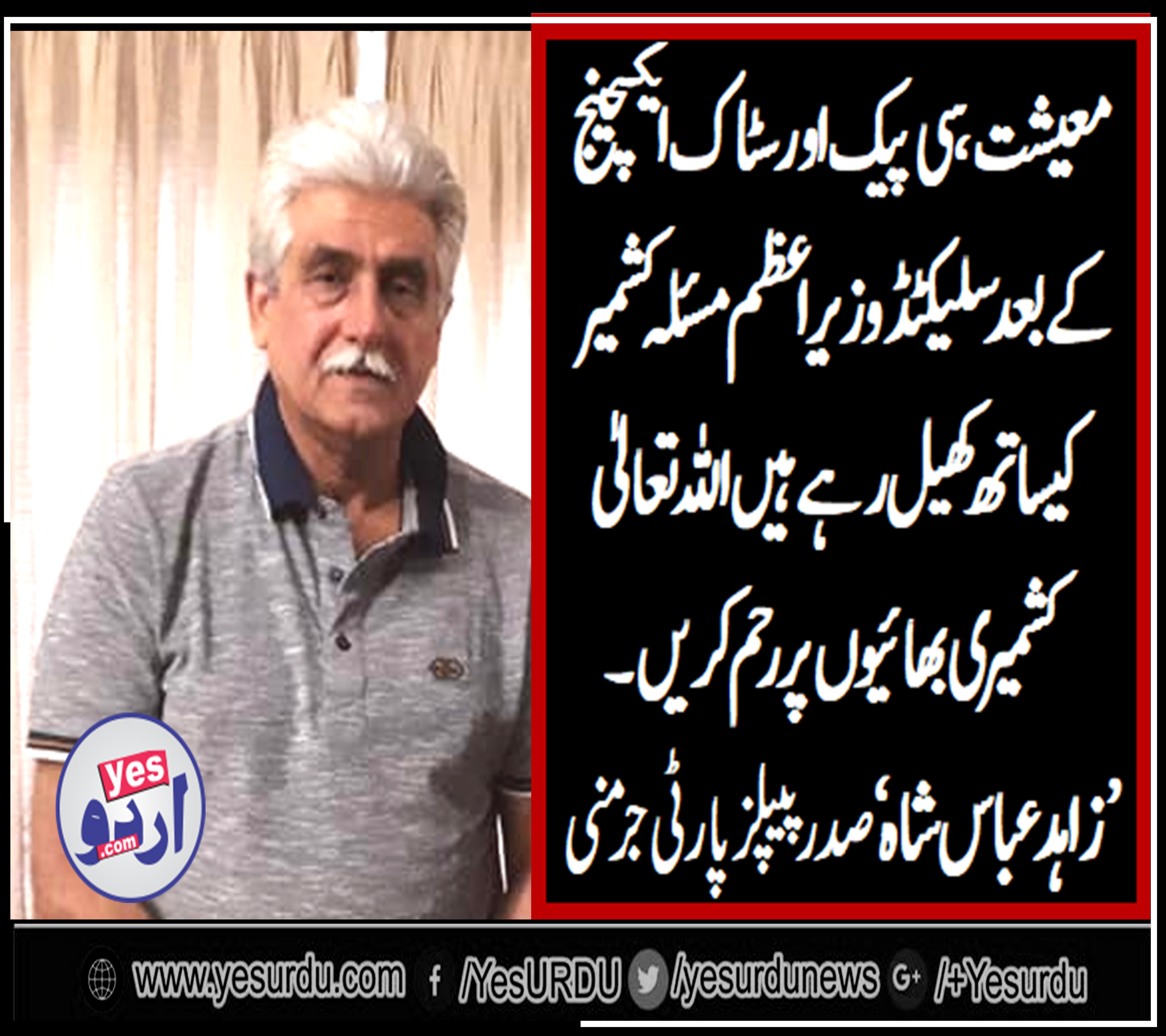 syed zahid abbas shah, president, ppp, germany