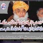 bilawal bhutto, and, shehbaz shareif, told, molana fazal ur rahman, that, they, could, not, do, for, him, anymore