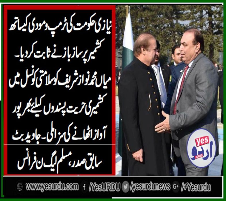 javed butt, ex-president, pmln, France, says, niazi , govt, malignancy, on, Kashmir, issue, told, the, truth, about, nawaz, ousted