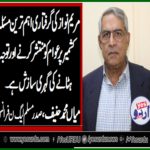 mian muhammad hanif, president, PMLN, France, says, its, dangerous, to, arrest, Maryam Nawaz, avoiding, Kashmir, issue