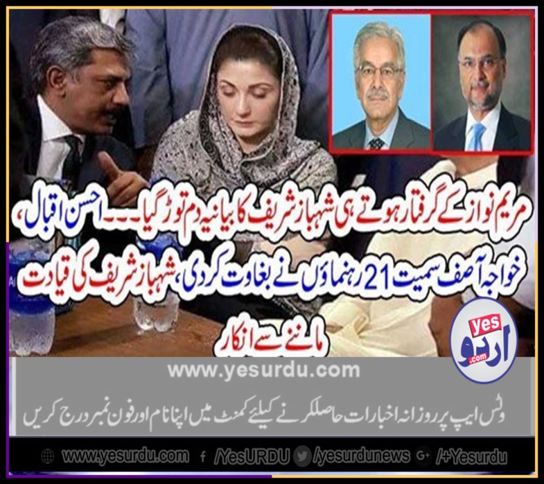 on, arrest, of,maryam, people, of, pmln, rejected, shehbaz sharief, as, custodian, of, pmln