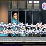 maryam nawaz, started, working, inside, jail, after, every, thing, is, going, against, her, family