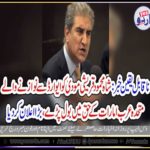 SHAH MEHMOOD QUREISHI, PAKISTAN, FOREIGN, MINISTER, TALKED, IN, FAVOR, OF, UAE, AFTER, THEY, AWARDED, NARENDAR MODI, WITH, CIVIL, AWARD