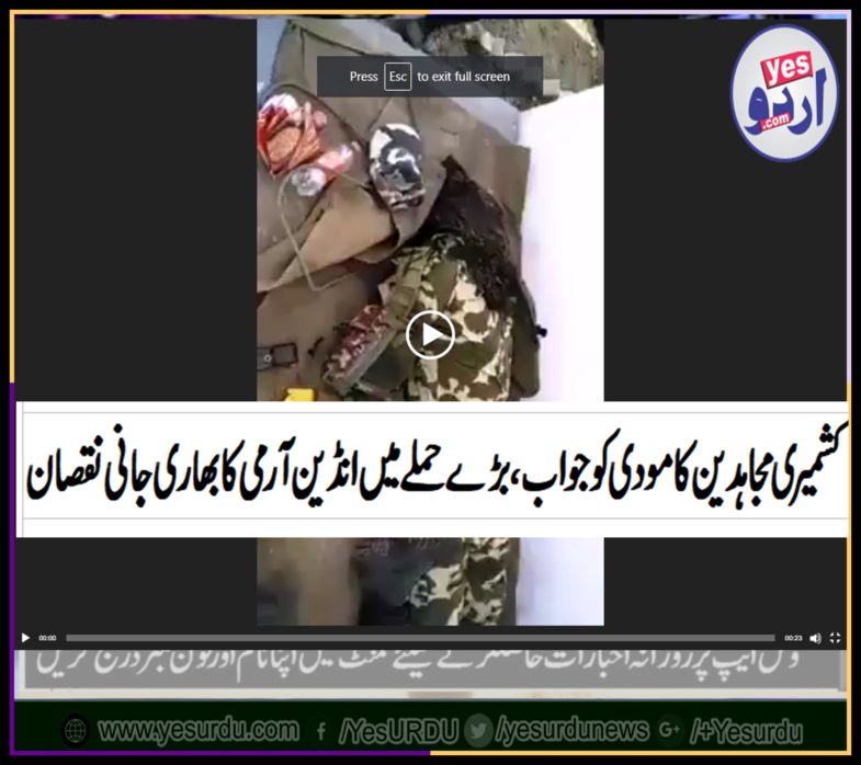 KASHMIRI'S, STRUGGLE, RAISED, AGAINST, INDIAN, ARMY, IN, IOK