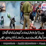 Protest, against, Indian, brutality, in, Jamu and Kashmir, at, majid, williar, la bell, peri fiat, Paris, France