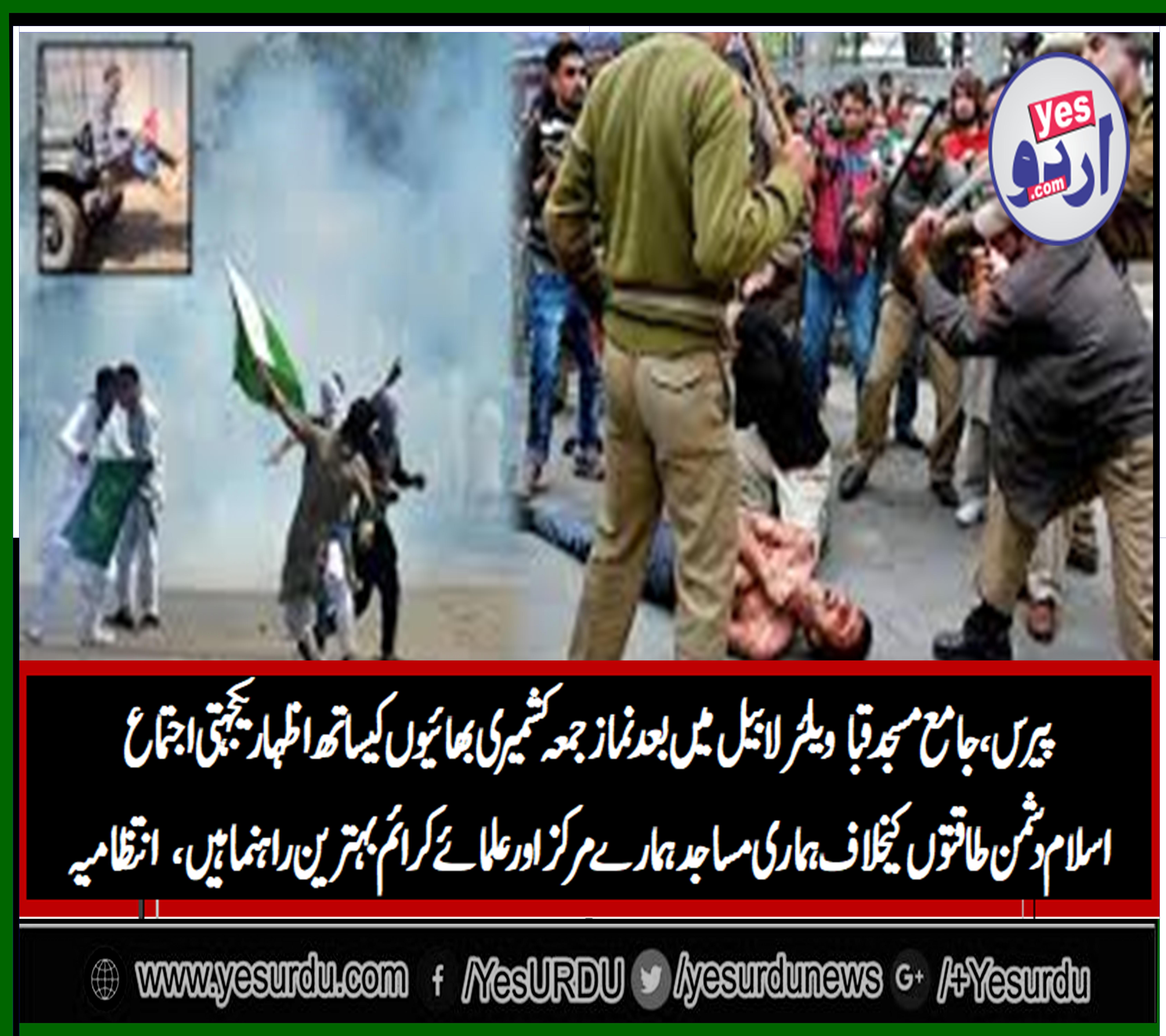 Protest, against, Indian, brutality, in, Jamu and Kashmir, at, majid, williar, la bell, peri fiat, Paris, France