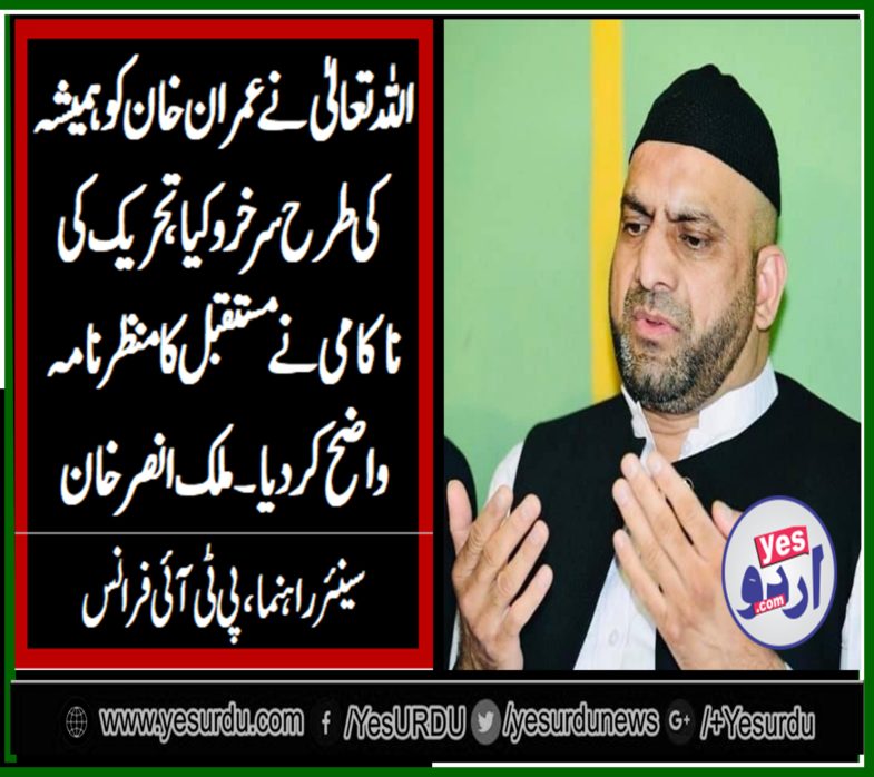 MALIK ANSAR KHAN, SENIOR, LEADER, PTI, FRANCE, ON, CLEAR, WIN, OF, PTI, IN, SENATE, ELECTION