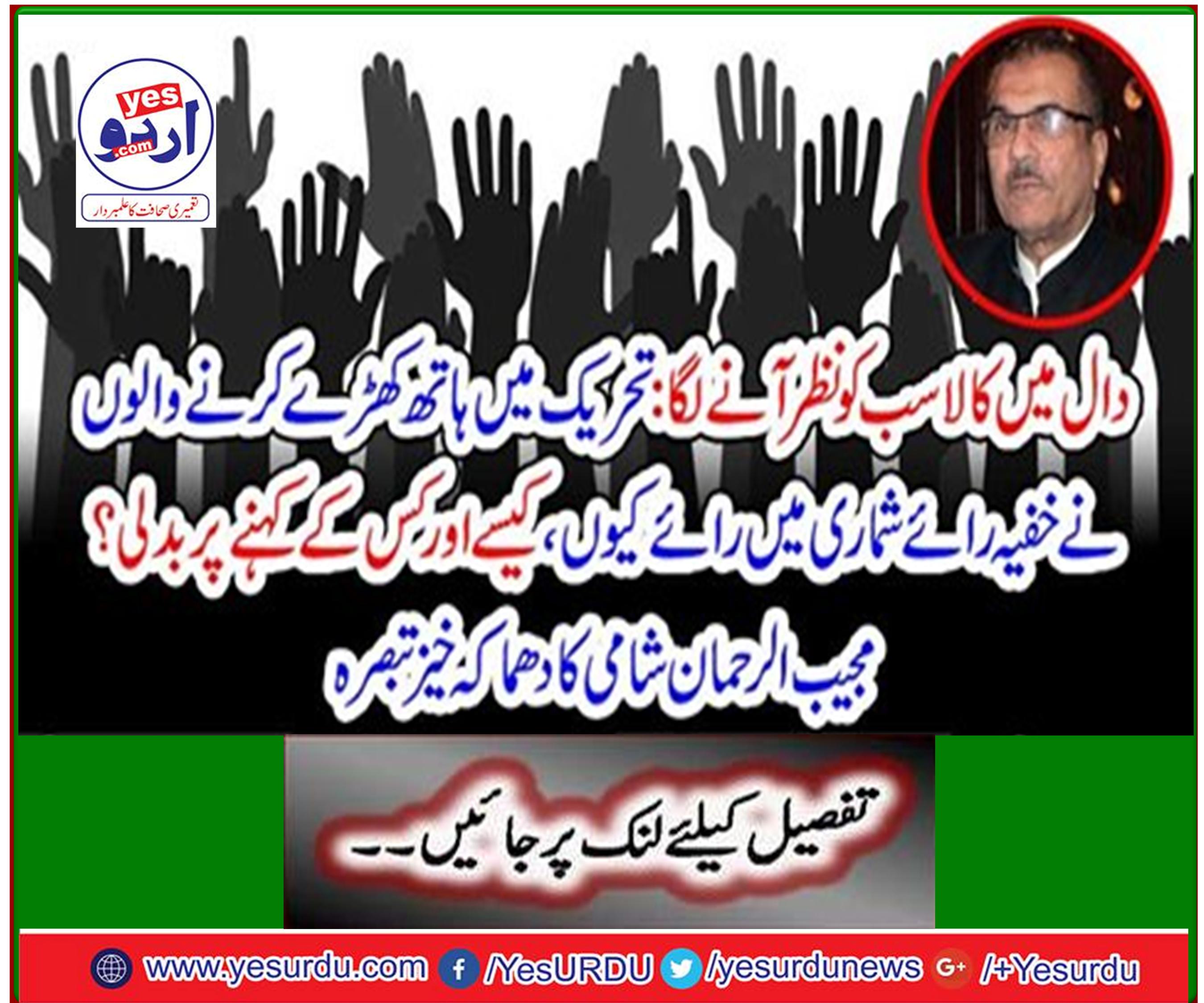 Explosive comment by Mujibur Rahman Shami