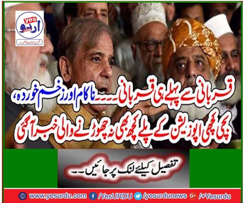 Failing and wounding, news of the baby turtle opposition was leaving nothing for the game