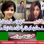 Rabbi Pirzada said in reference to Firdous Jamal that Pakistani drama industry was stunned.
