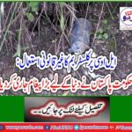 Illegal Use of Cluster Bombs on LoC: Government of Pakistan Releases Big Message to the World