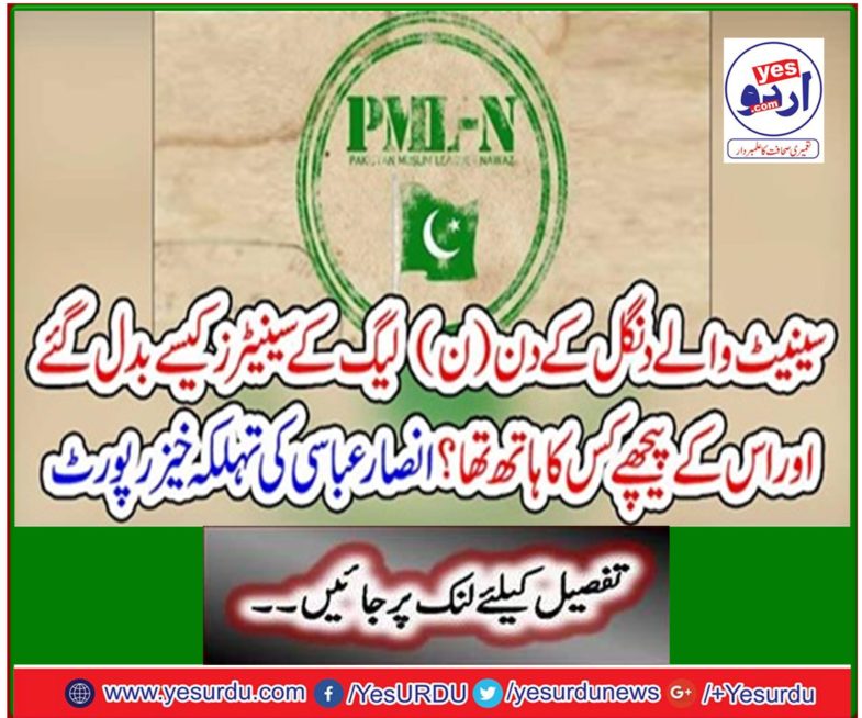 Ansar Abbasi's Spectacular Report