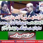 Opposition claim falsified New Pandora's Box opened