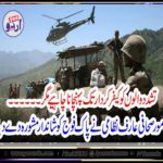 punishment, for, people, involved, in, terrorist, activites, famous, journalist, suggestion, for, Pak Army