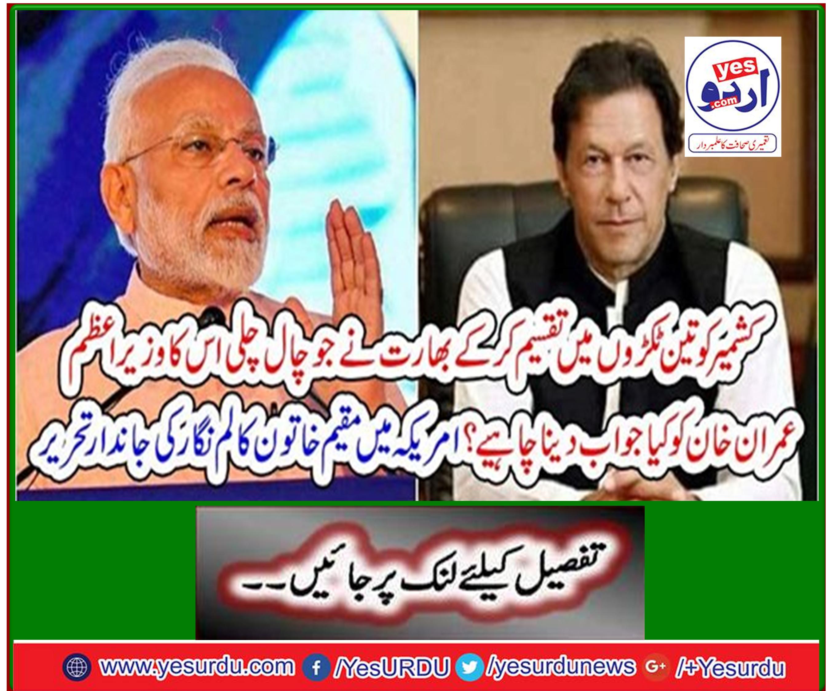 Writing biography of a female columnist based in the United States