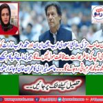 Asma Shirazi's living advice to Imran Khan