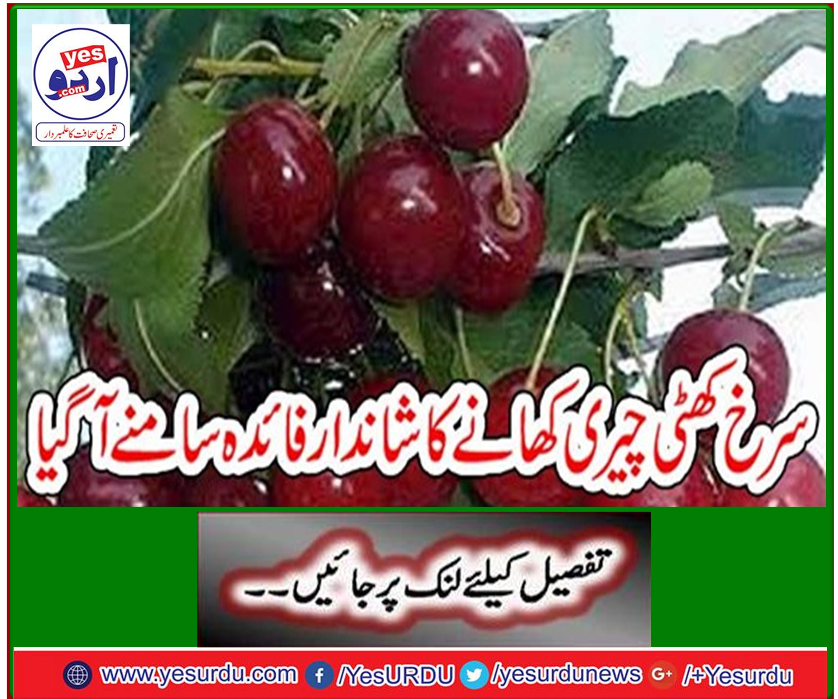 The wonderful benefit of eating red sour cherries came out