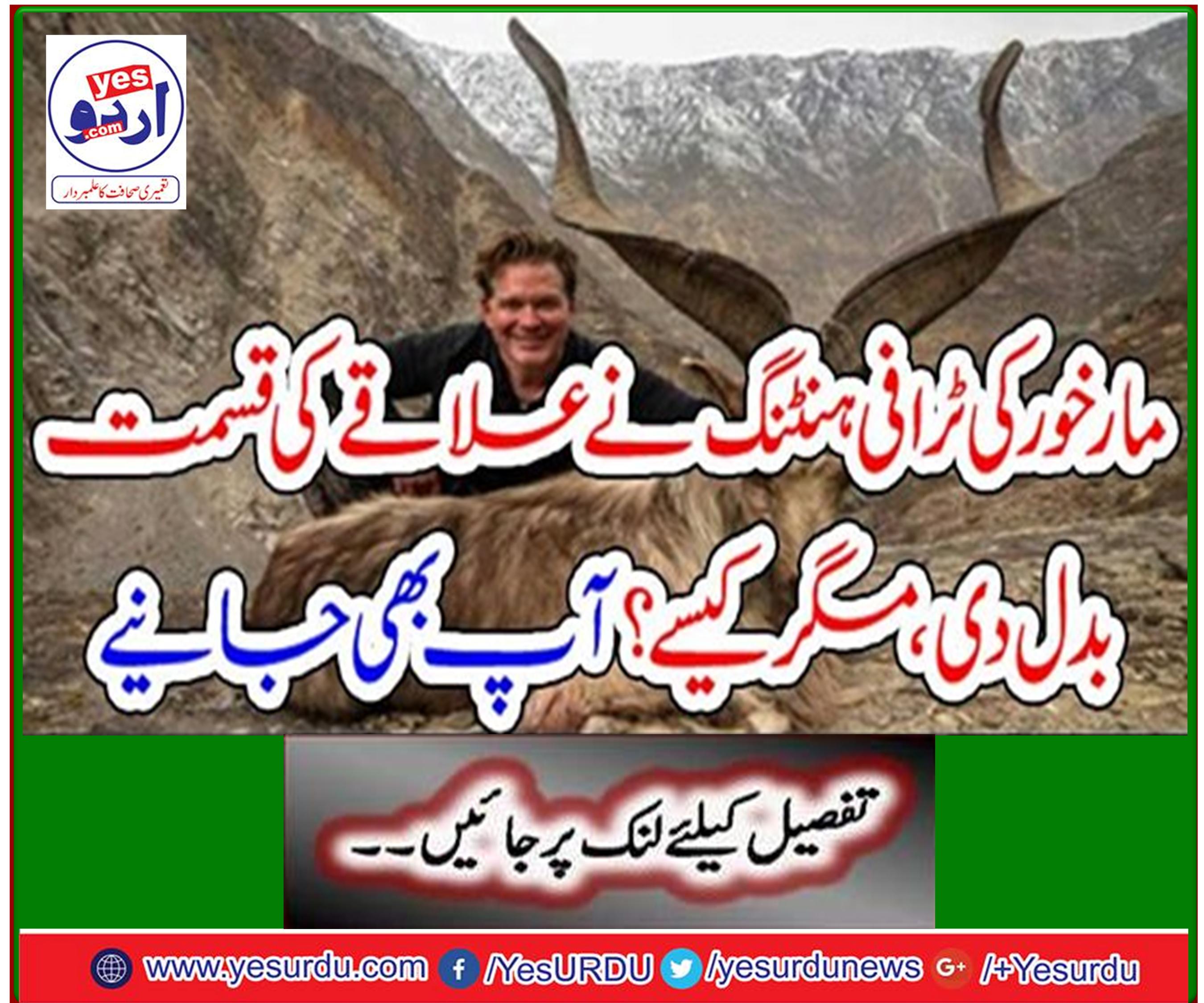 Markhor's trophy hunting changed the fate of the area, but how? You also learn