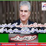 Another success in gaining global support on the Kashmir issue