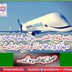 What is the Saudi billionaire who bought a ship to buy? Knowing you will also be thinking