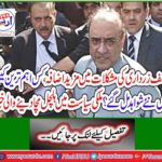 News shaking in domestic politics