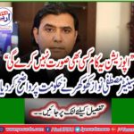 Opposition will not do anything about it ", Senator Mustafa Nawaz Khokhar blamed the government