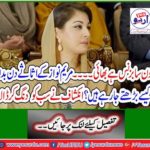 What is this Business Brother ... How are the assets of Maryam Nawaz growing? Discovery stunned everyone