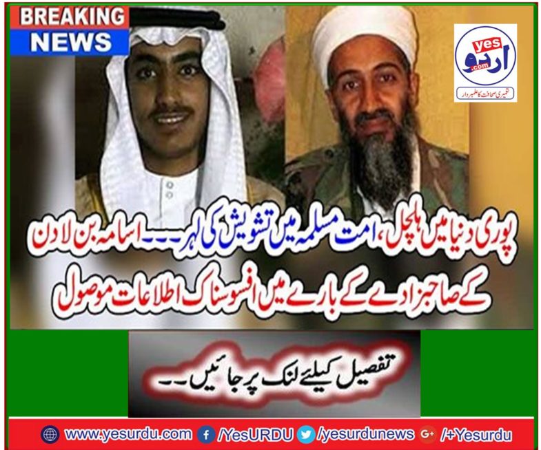 Sad news was reported about Osama bin Laden's son.
