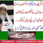Shahbaz Sharif, Maryam Nawaz, Asif Zardari and Bilawal took a hard line against the government because ... Hafiz Hussain Ahmed made a big claim