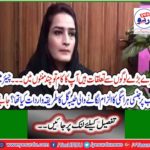 My relationship with the big guys is your job in a few minutes ... What was Taiba Gul's method of accusing Chairman NAB of sexual harassment? Learn