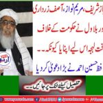 Shahbaz Sharif, Maryam Nawaz, Asif Zardari and Bilawal took a hard line against the government because ... Hafiz Hussain Ahmed made a big claim