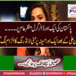 Another Dollar Girl In Pakistan Visits ... Hussein was charged with money laundering after Ian Ali