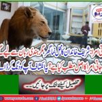 Tribal Amra: The palace house of the Sharif family, but what is the meaning of the words Amra from Hindi language? This revelation will amaze you
