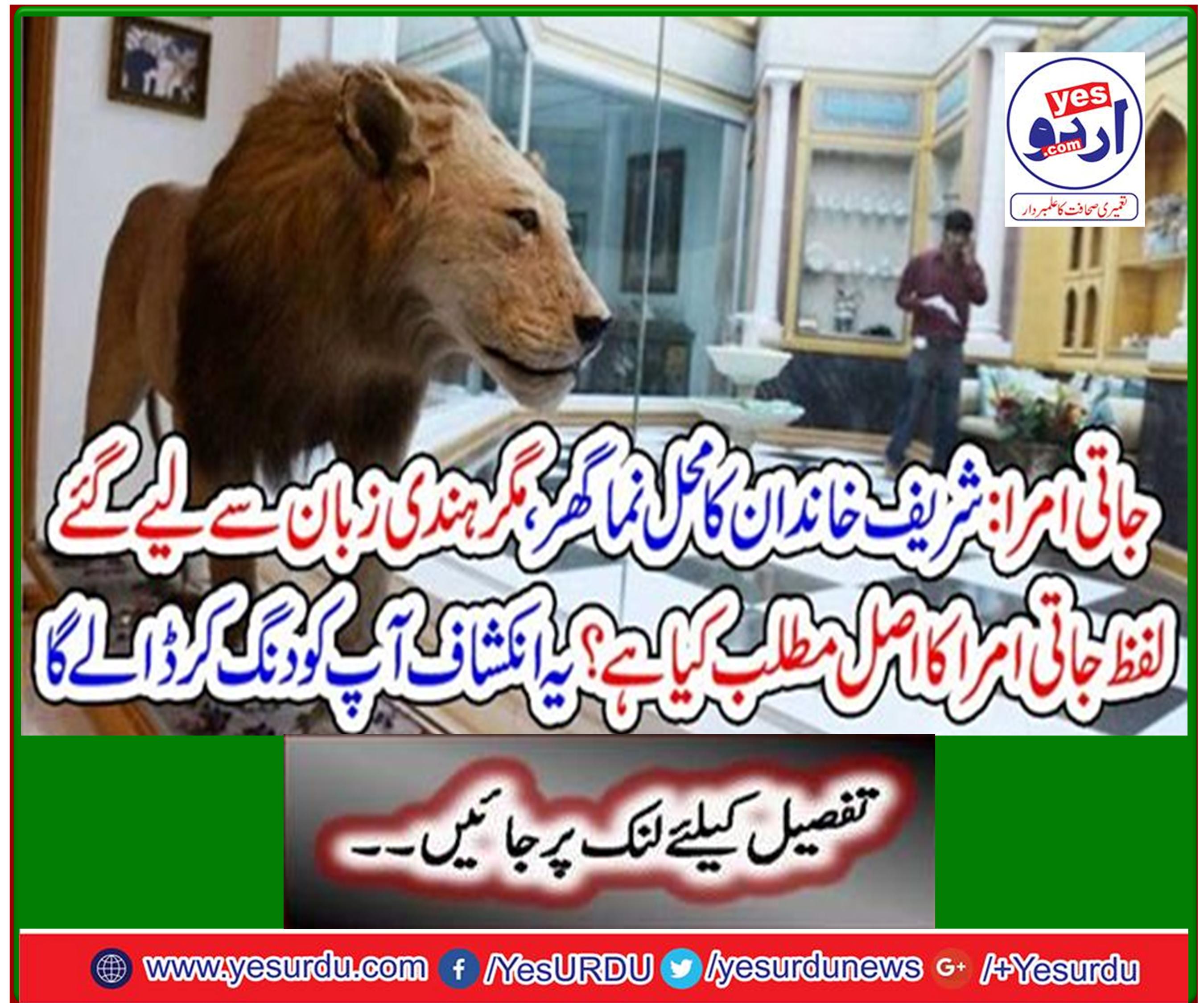 Tribal Amra: The palace house of the Sharif family, but what is the meaning of the words Amra from Hindi language? This revelation will amaze you