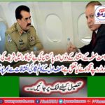 Abundant columnist's writing full of revelations