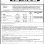 University of Balochistan Quetta Jobs 2019 for Teaching Faculty & Principal